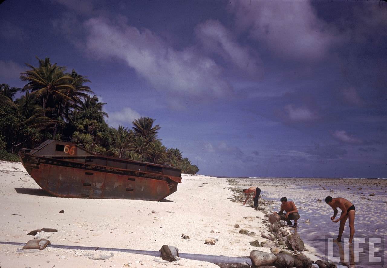 #19 American servicemen searching the shoreline near a rusted Alligator LVT on Tarawa during WWII.