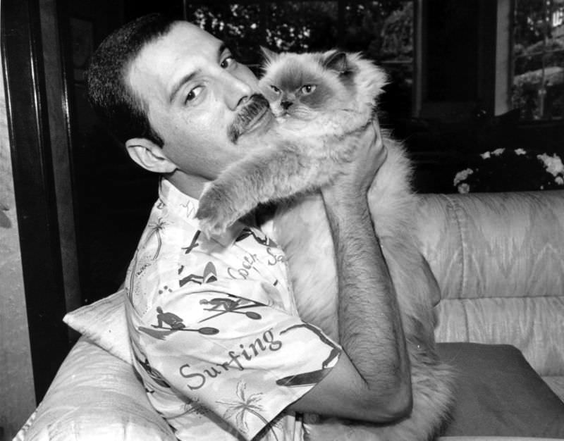 #23 Freddie Mercury with his cat, ‘Tiffany,’ 1986.
