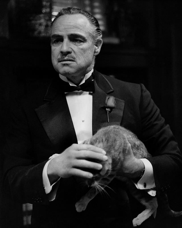 #34 Marlon Brando in costume as ‘Don Vito Corleone’ as he holds a cat on the set of the film ‘The Godfather,’ 1972