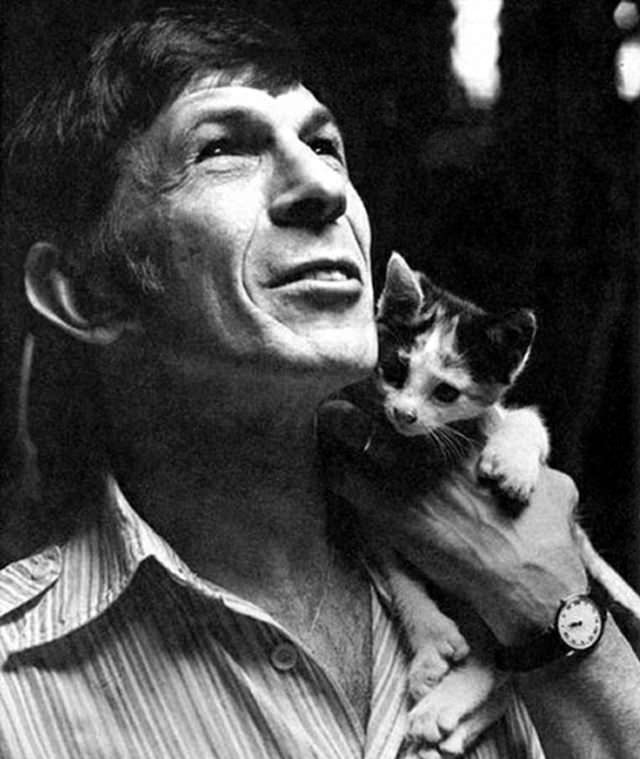 #54 Leonard Nimoy and a kitten