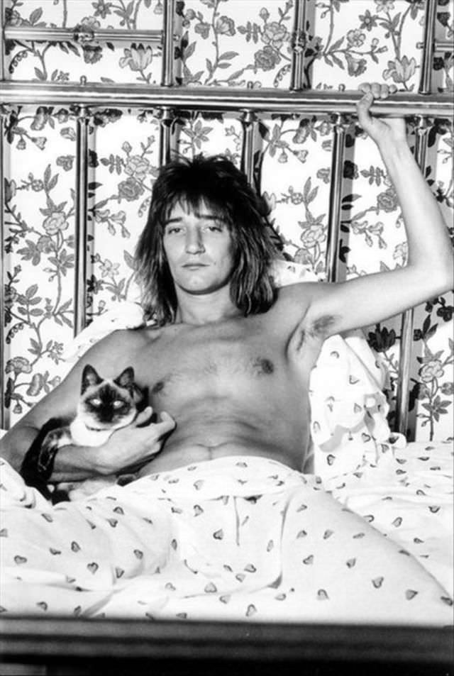 #65 Rod Stewart and his cat