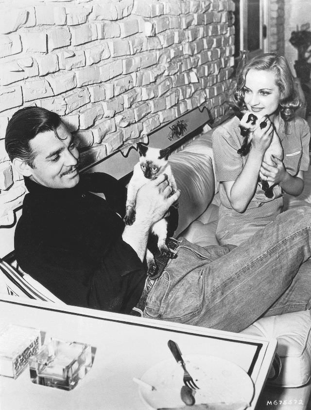 #6 Clark Gable and Carole Lombard with two Siamese siblings at their home in the San Fernando Valley, 1940