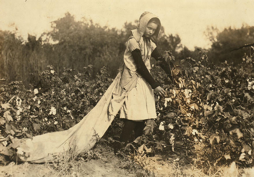 #9 Callie Campbell, 11 years old, picks 75 to 125 pounds of cotton a day, and totes 50 pounds of it when sack gets full. “no, i don’t like it very much.” Location: [Pottawattamie county, Oklahoma]
