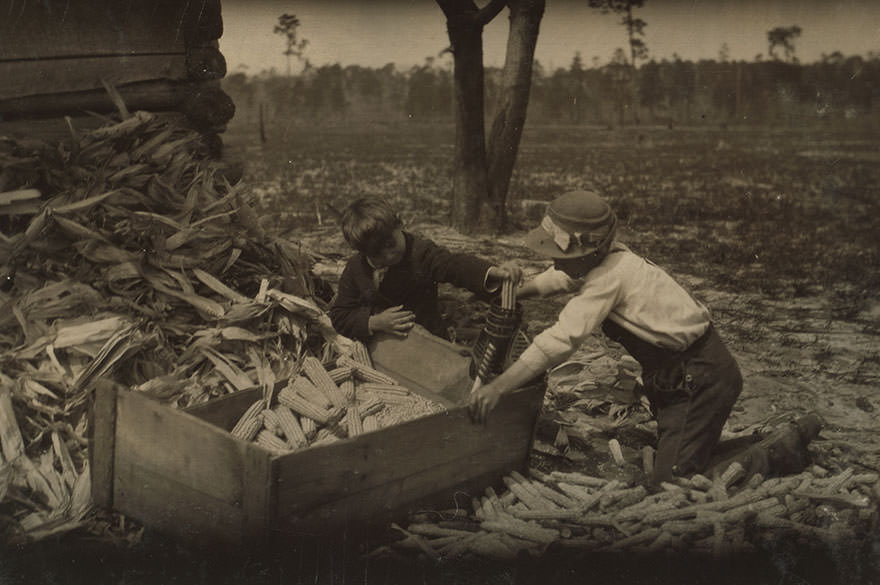 #70 Children thrashing corn during school hours on a farm near Dublin. Many such light occupations fall to the lot of the Georgia child. Location: Dublin, Georgia