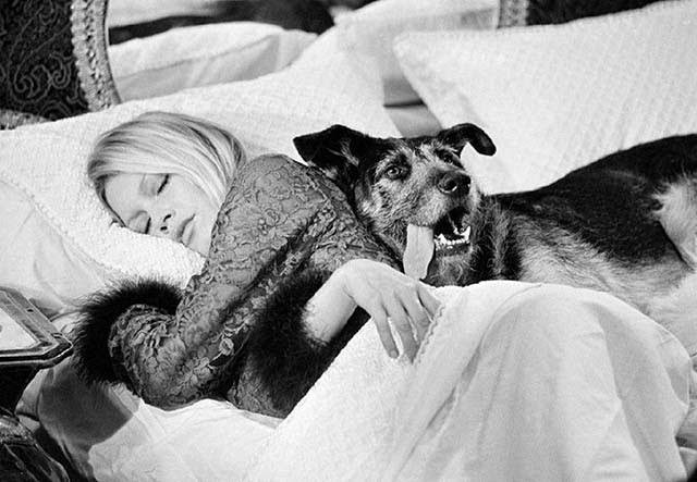 #27 Brigitte Bardot