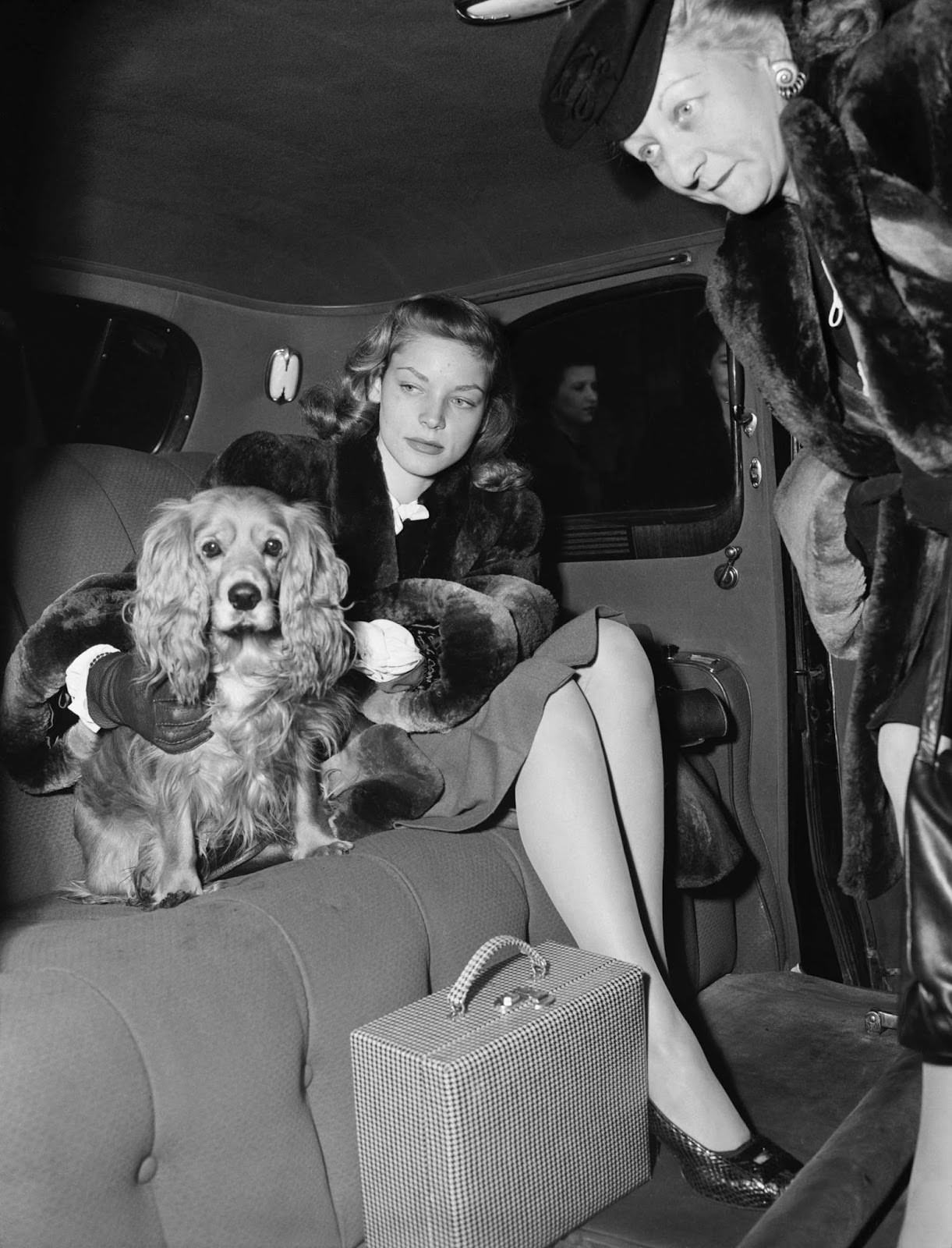 #21 Traveling in style with her dog, 1945.