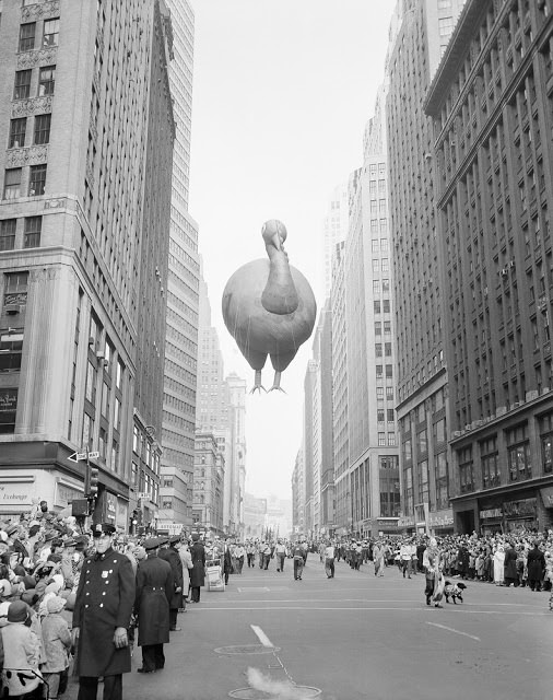 A giant turkey float squeezes between buildings as the 31st annual Macy’s Thanksgiving Day Parade moves down Broadway near 37th Street in New York, Nov. 28, 1957.