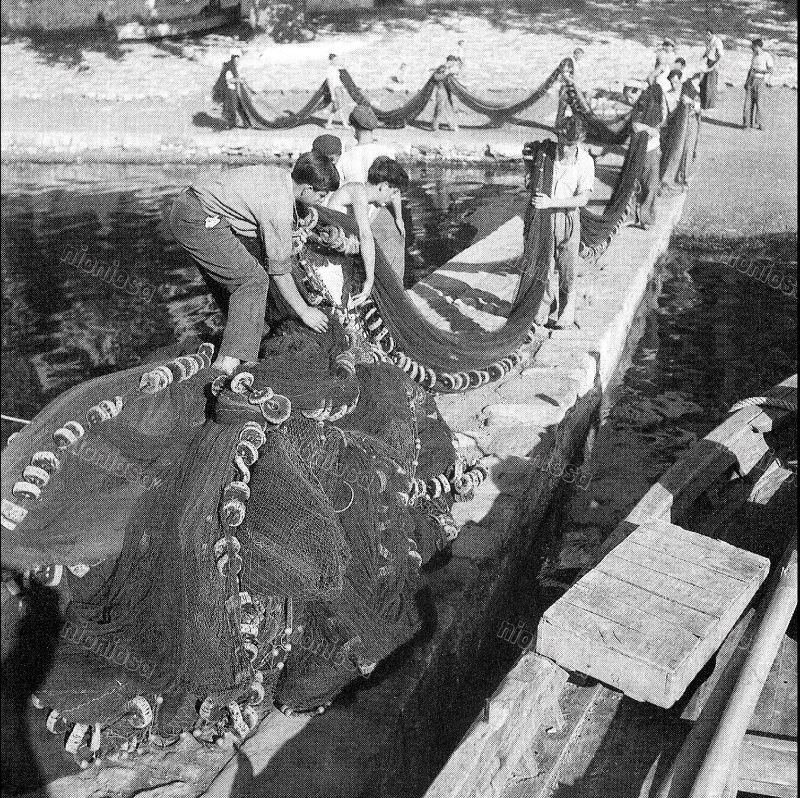 #29 Limenas Thassos, August 1950