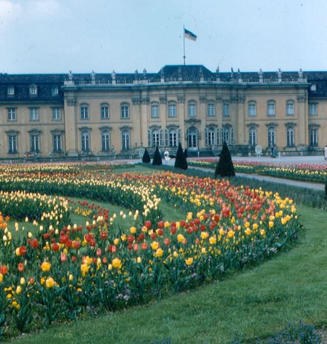 #9 Ludwigsburg. South Garden. Some of the 500,000 tulips at Ludwigsburg Palace