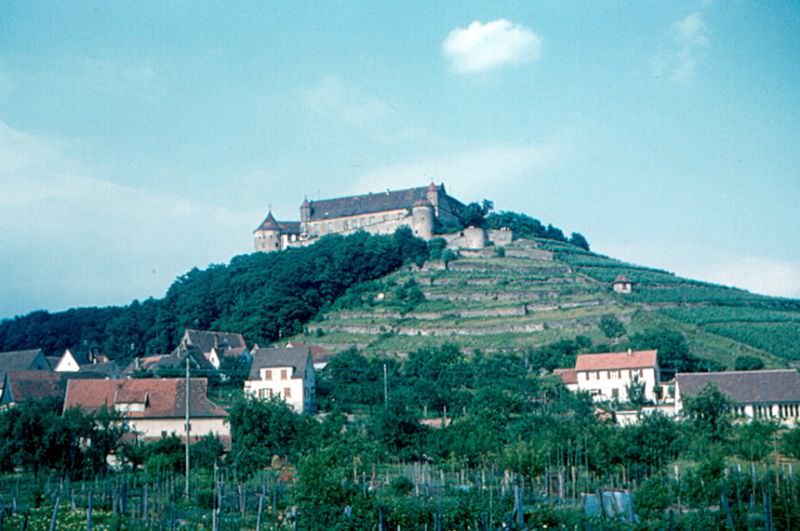 #25 Untergruppenbach. Burg Stettenfels