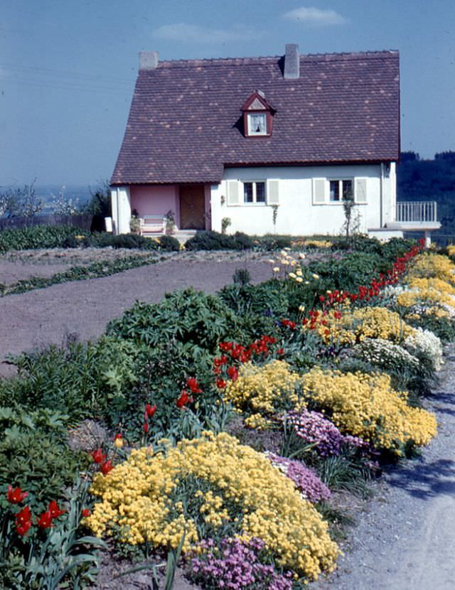 #27 Waldenburg. A small house with spring flowers