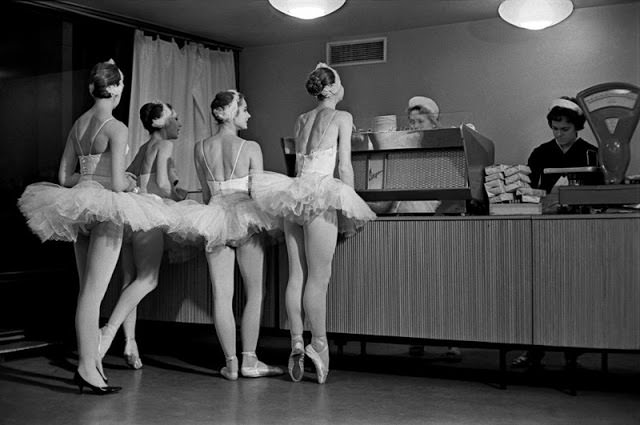 #1 Swans, 1963 – Evgeny Umnov