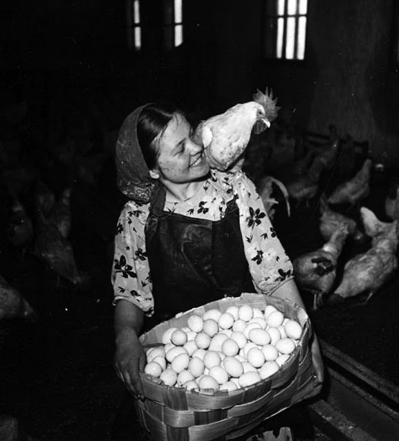 #9 Poultry-maid, Kirovsk, 1950 – Yakov Ryumkin