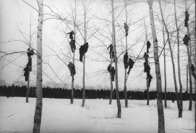 #31 Rooks came, 1964 – Mikola Gnisyuk