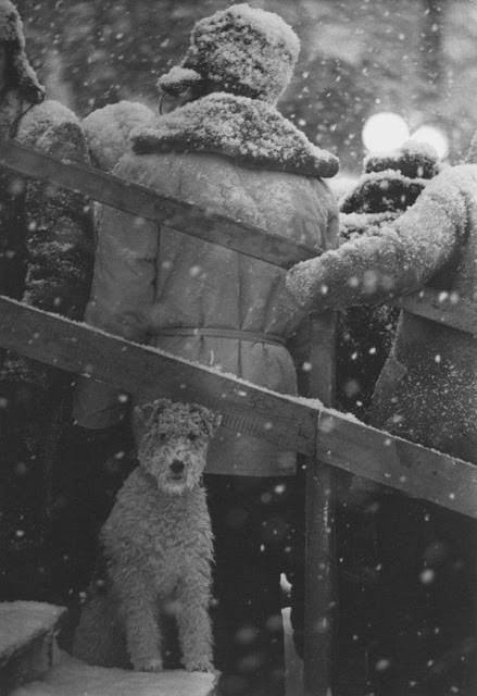 #13 Non of my dog’s business, 1965 – Vladimir Bogdanov