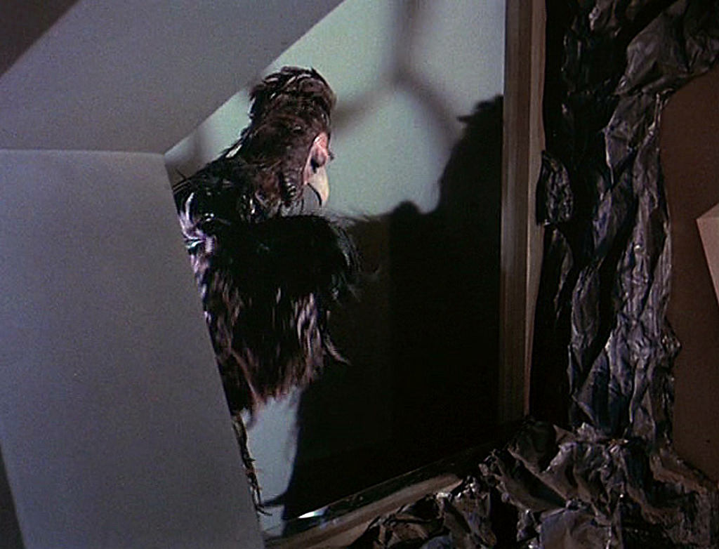 #13 Janos Prohaska, who also played the Mugato and Horta, played the bird like creature in an adjacent cage under the surface of Talos IV in the first pilot.