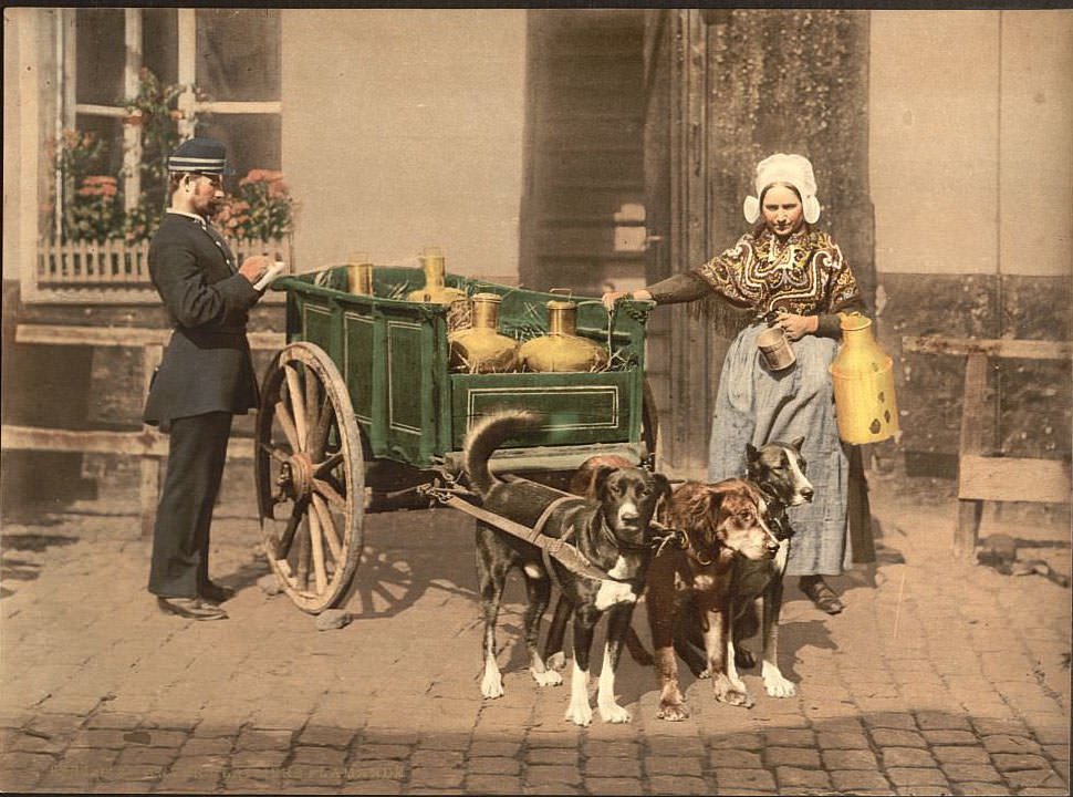 #5 Flemish milk women, Antwerp, Belgium