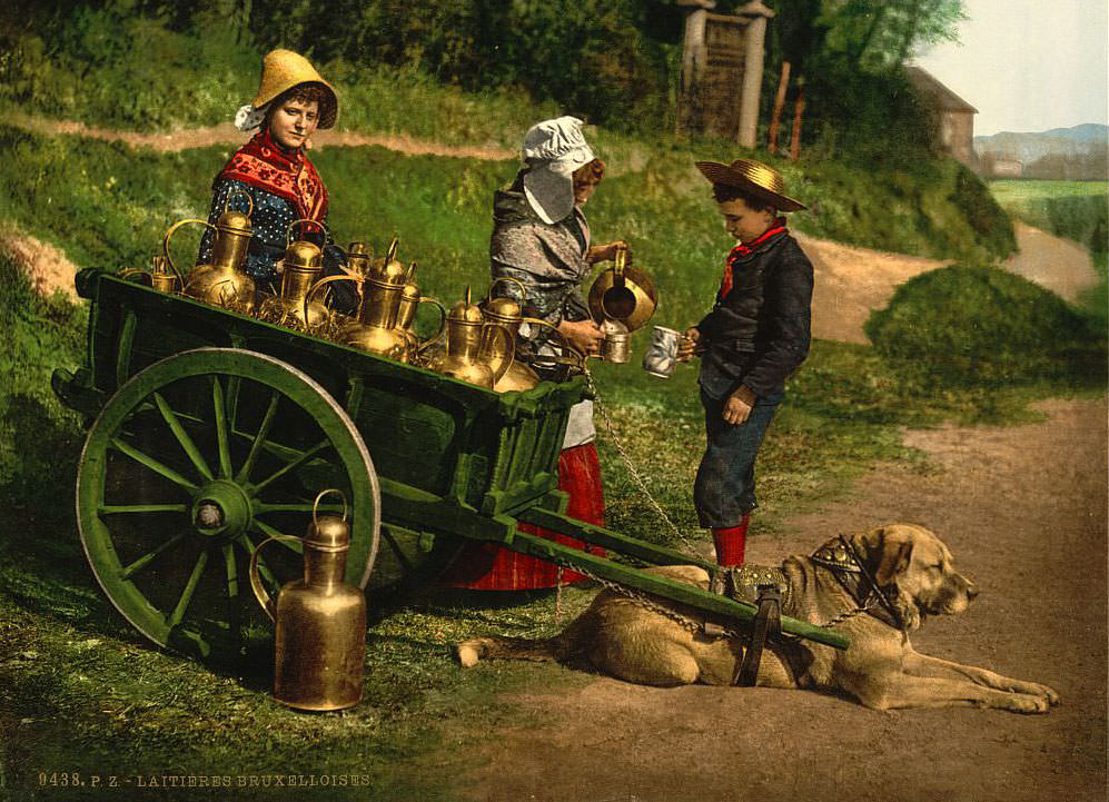 #55 Laitiere Bruxelloise