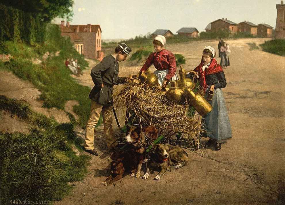 #57 Milks ellers, Brussels, Belgium