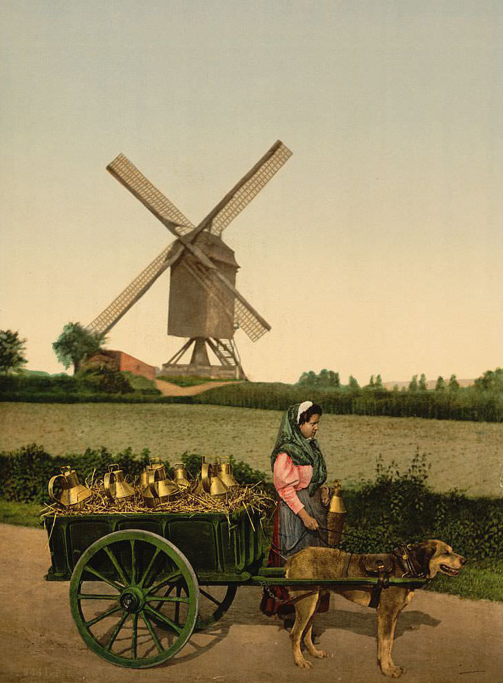 #58 Milks ellers, Brussels, Belgium