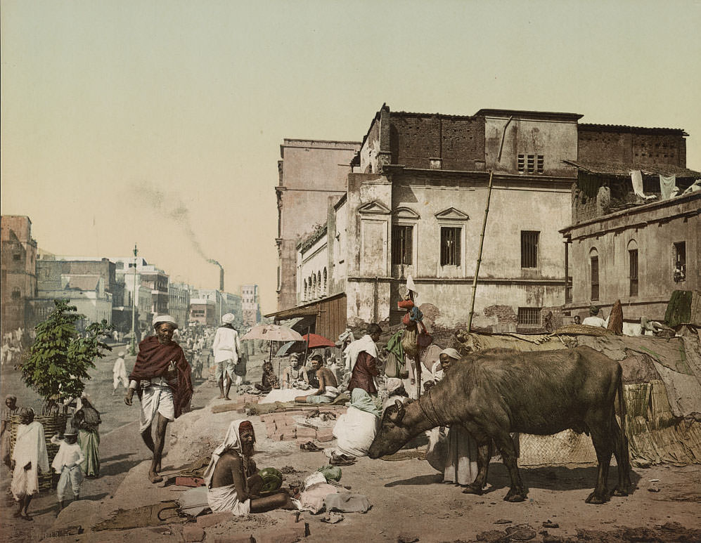 #1 Harrison Road, Kolkata