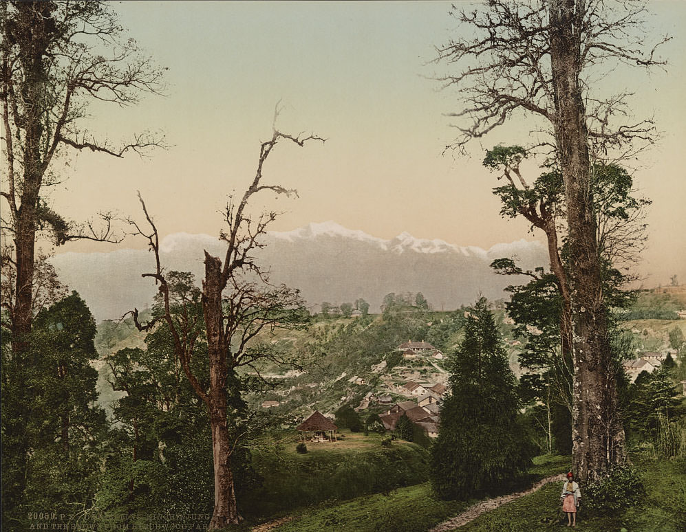 #34 Kangchenjunga and the snow from Beechwood Park, Darjeeling