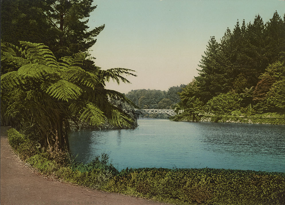 #8 In New Plymouth Gardens