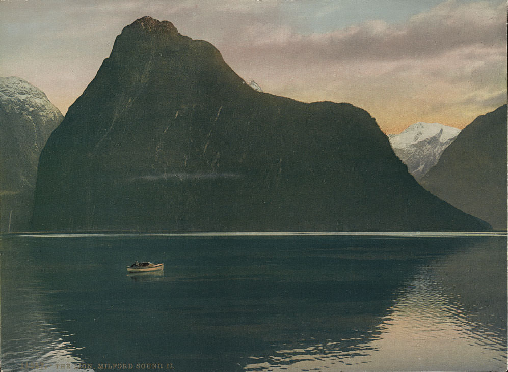 #43 Milford Sound II, The Lion