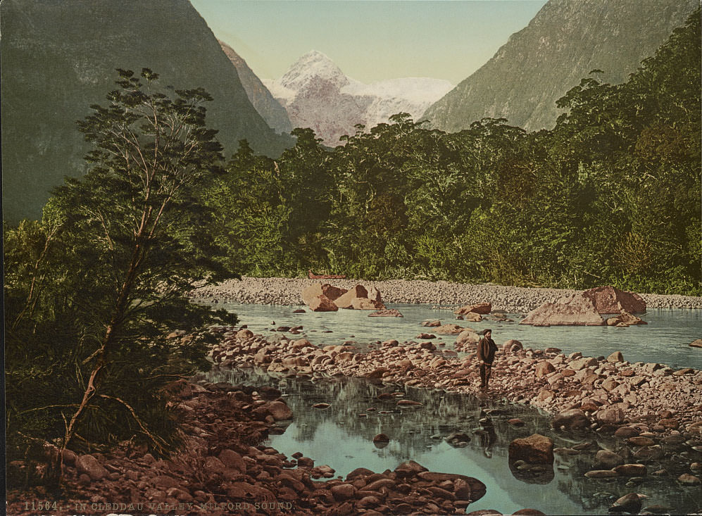 #47 In Cleddau Valley, Milford Sound