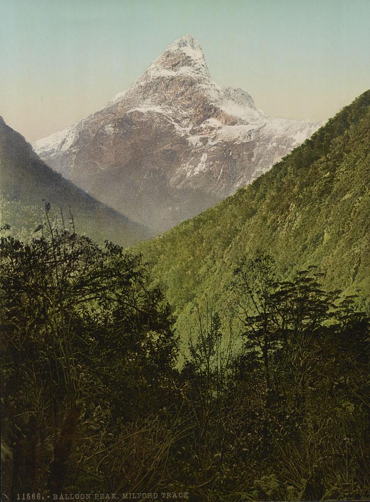 #49 Balloon Peak, Milford Track