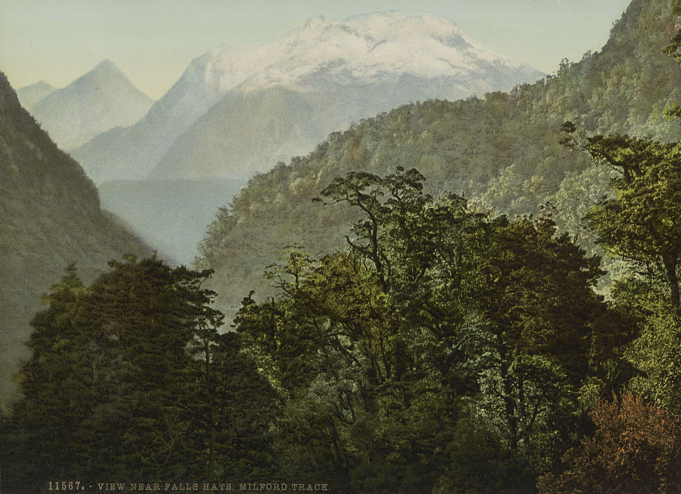 #50 View near Falls Hats, Milford Track