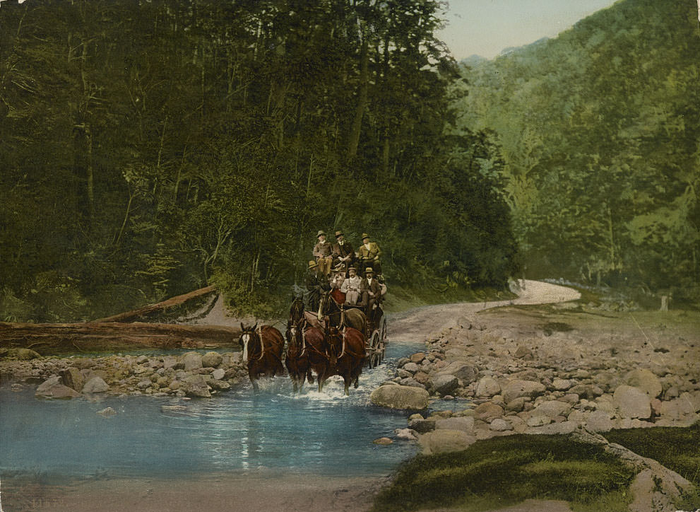 #3 Coaching in Buller Gorge