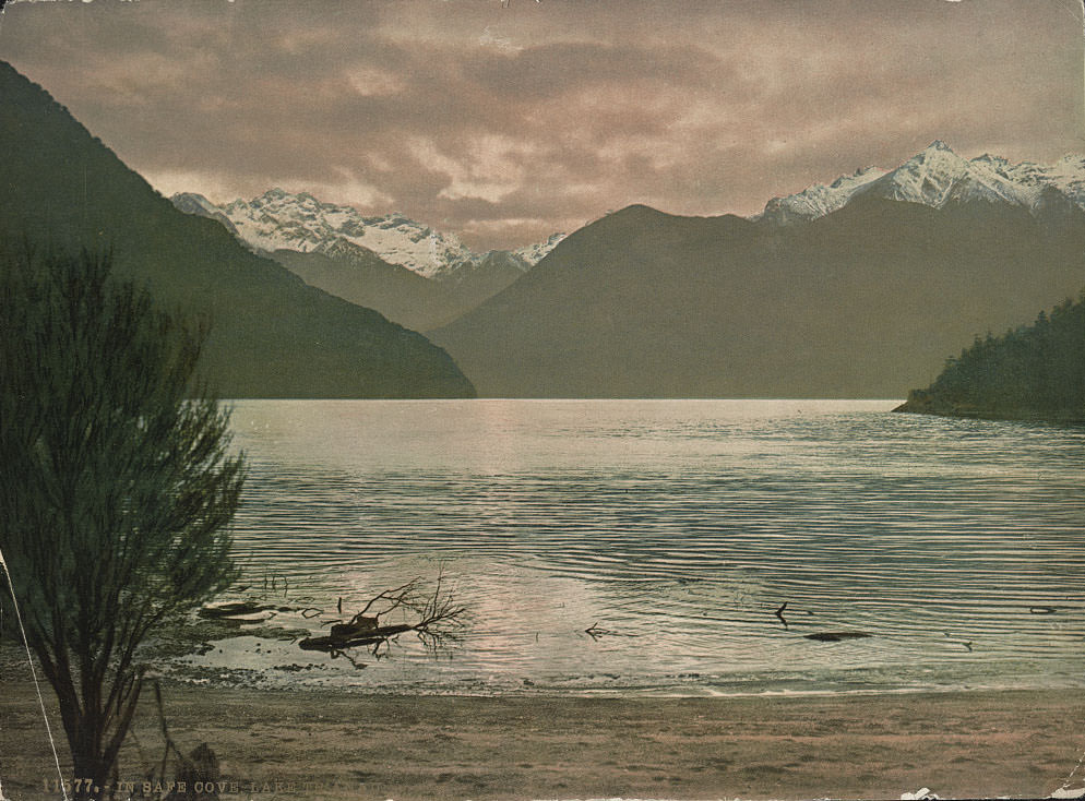 #58 In Safe Cove, Lake Te Anau