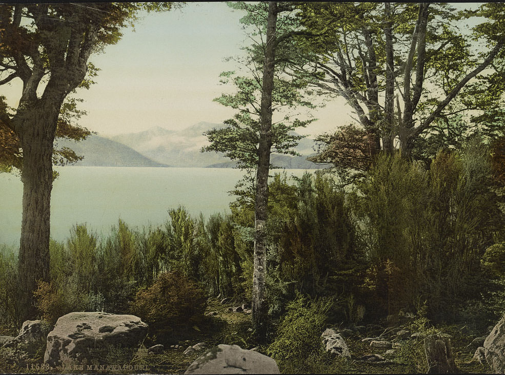 #37 Lake Manapouri