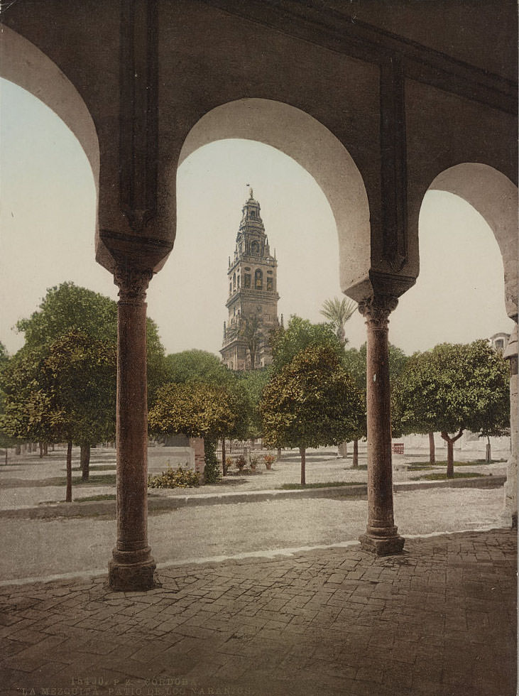 #36 La Mezquita. Patio de los Naranjos, Córdoba