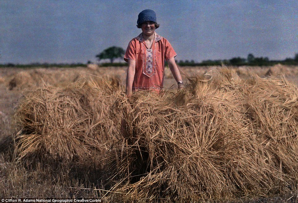 #27 A girl stands in an unidentified field in Lincolnshire in 1929 holding barley
