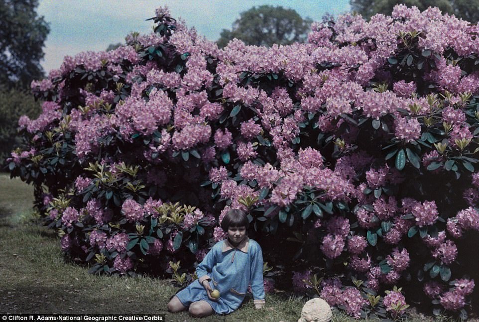 #5 A girl sits in front of the rhododendrons in 1929 at Kew Gardens in south-west London, which was founded in 1840