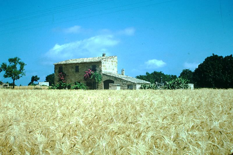#36 Typical farmhouse near Pollensa, Majorca