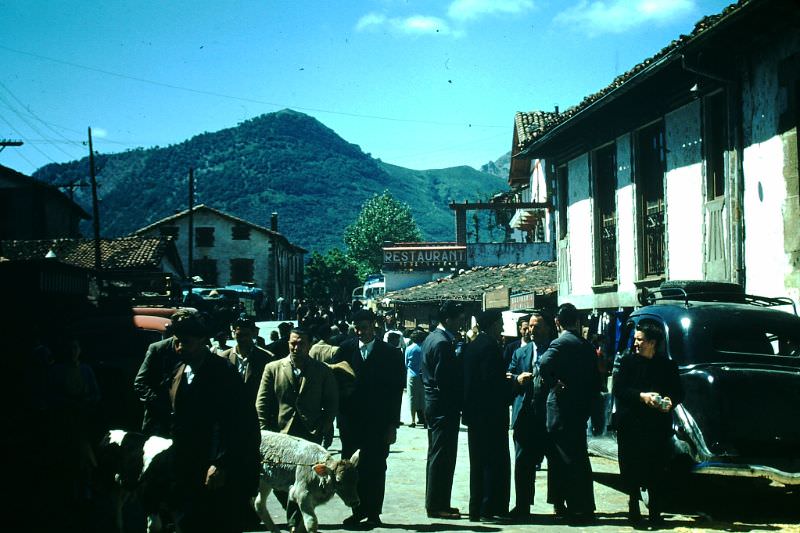 #16 Market Day, Lecumberri, Basque Country