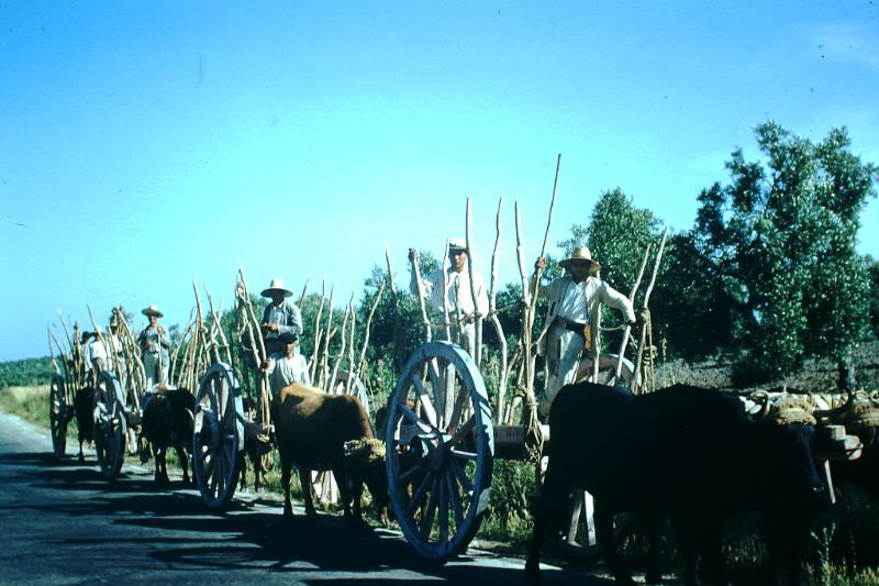 #18 Carretas on road to Seville