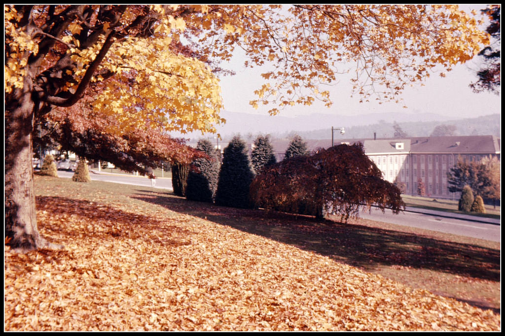 #21 Fall in Victoria, 1961