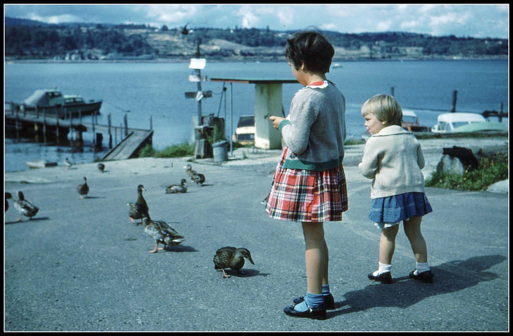 #24 Kids and ducks at dock in BC, 1960