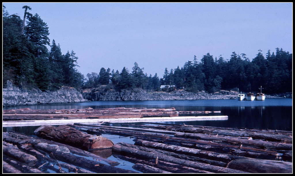 #28 Log boom in Centre Bay, BC, 1966