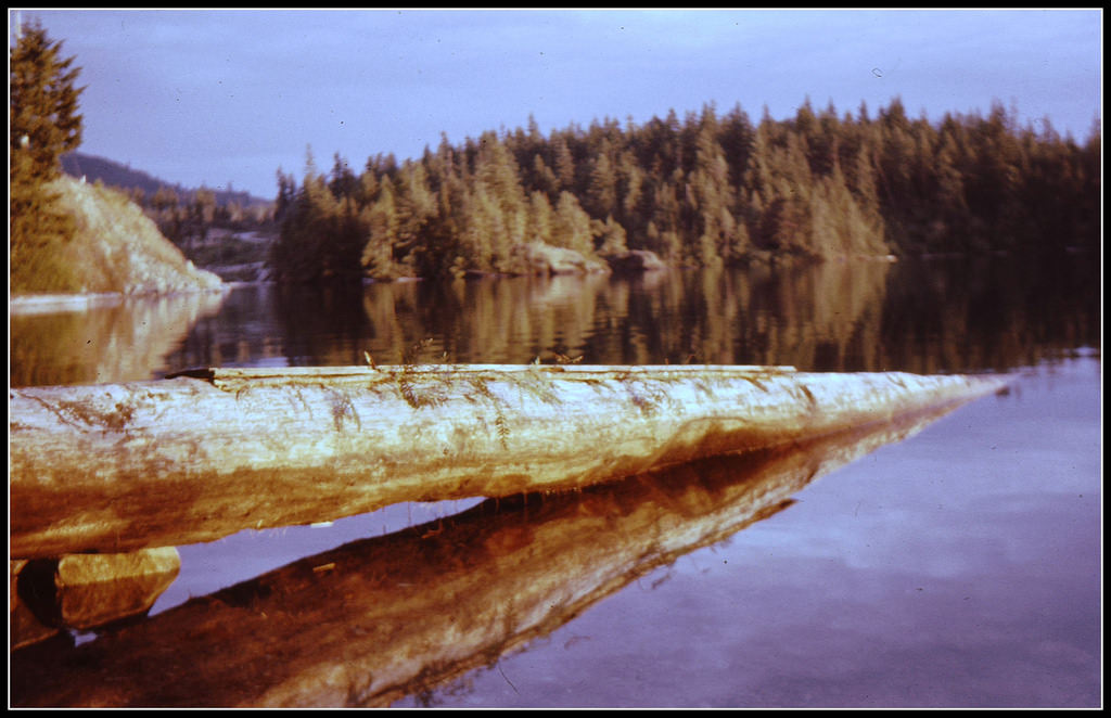 #29 Log in Halfmoon Bay, BC, 1960