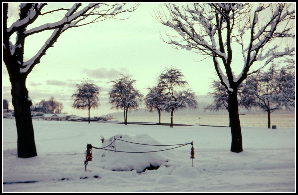 #43 Snow at Kitsilano Beach, 1960