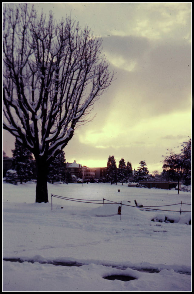 #54 Winter sunset on Cornwall Avenue, Vancouver, 1962