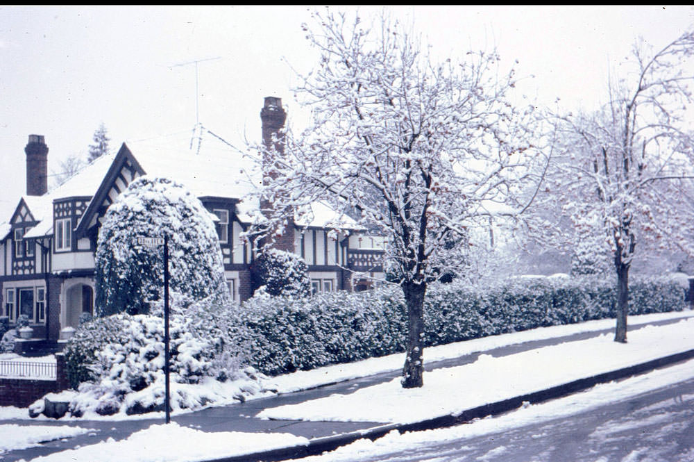 #56 8th and Angus Streets, Vancouver, 1960