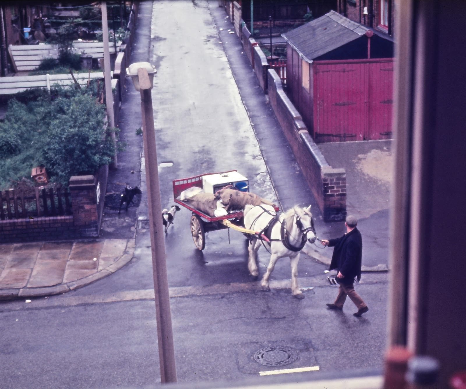 #12 Horse and cart on Brudenell Road