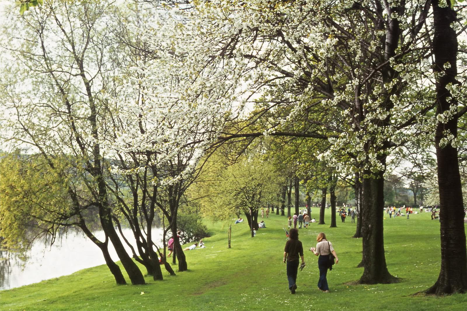 #70 River Aire.