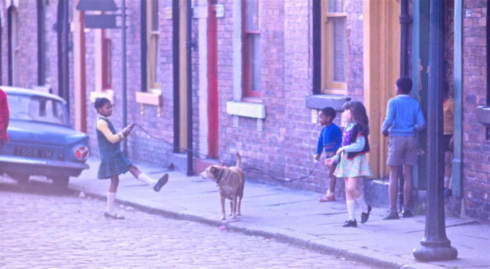 #54 Even the dog gets a turn at skipping.